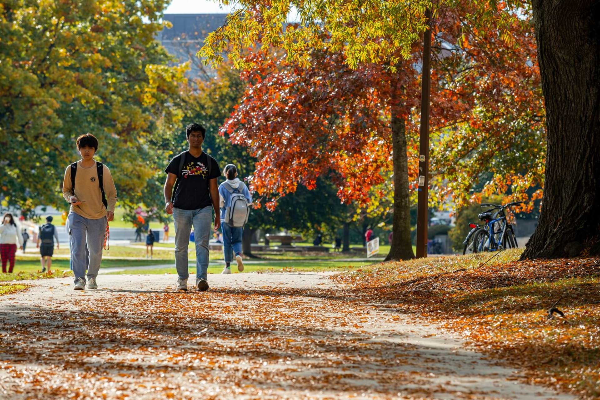 students walking over fall leaves on campus