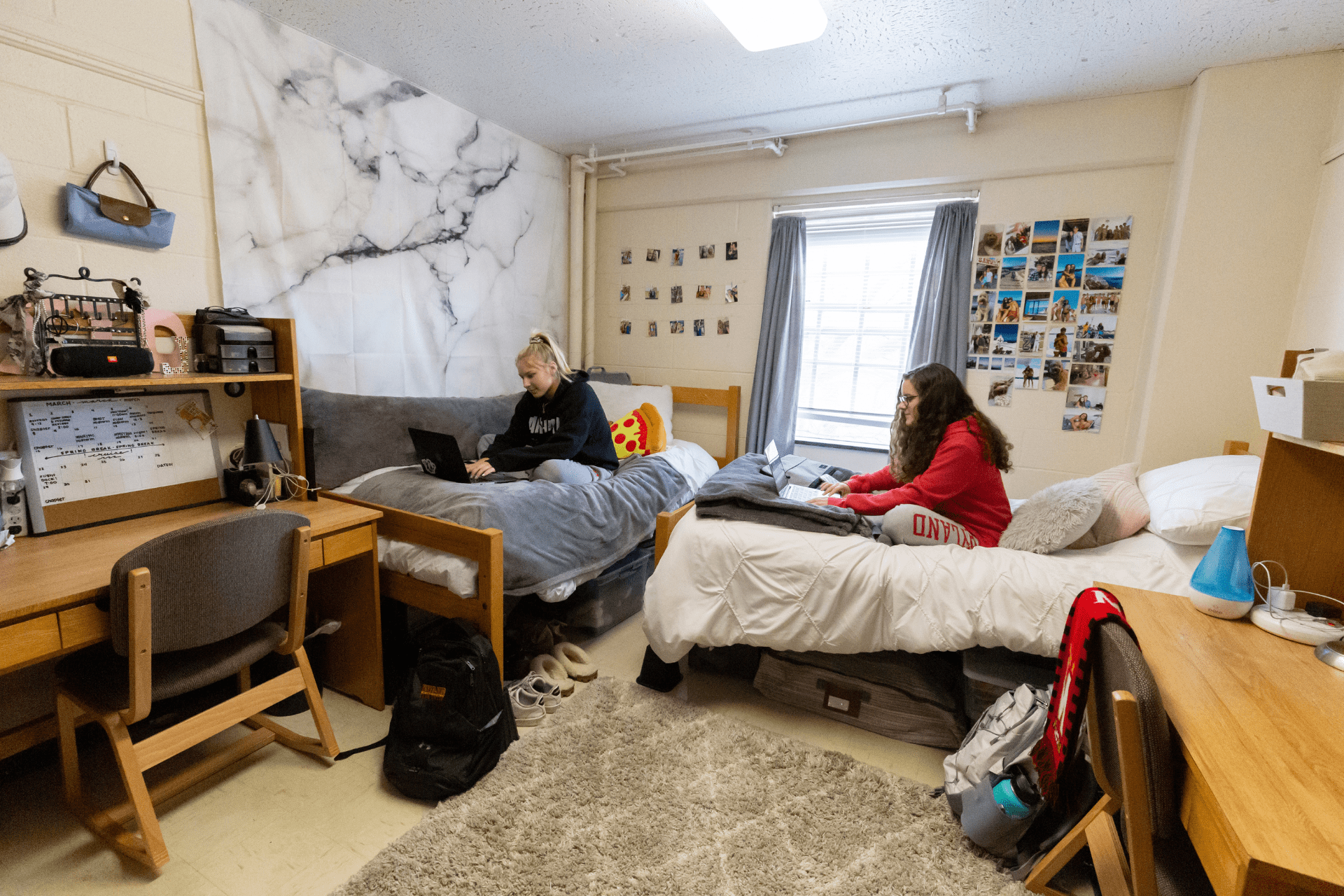 two students in dorm room, each on their beds using their laptops