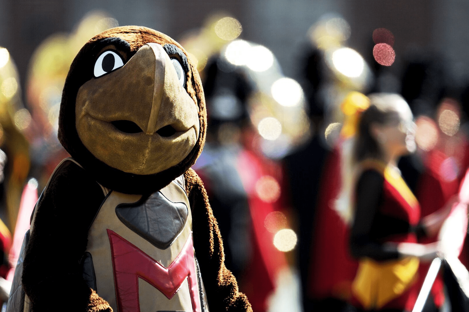 testudo mascot with marching band in the background