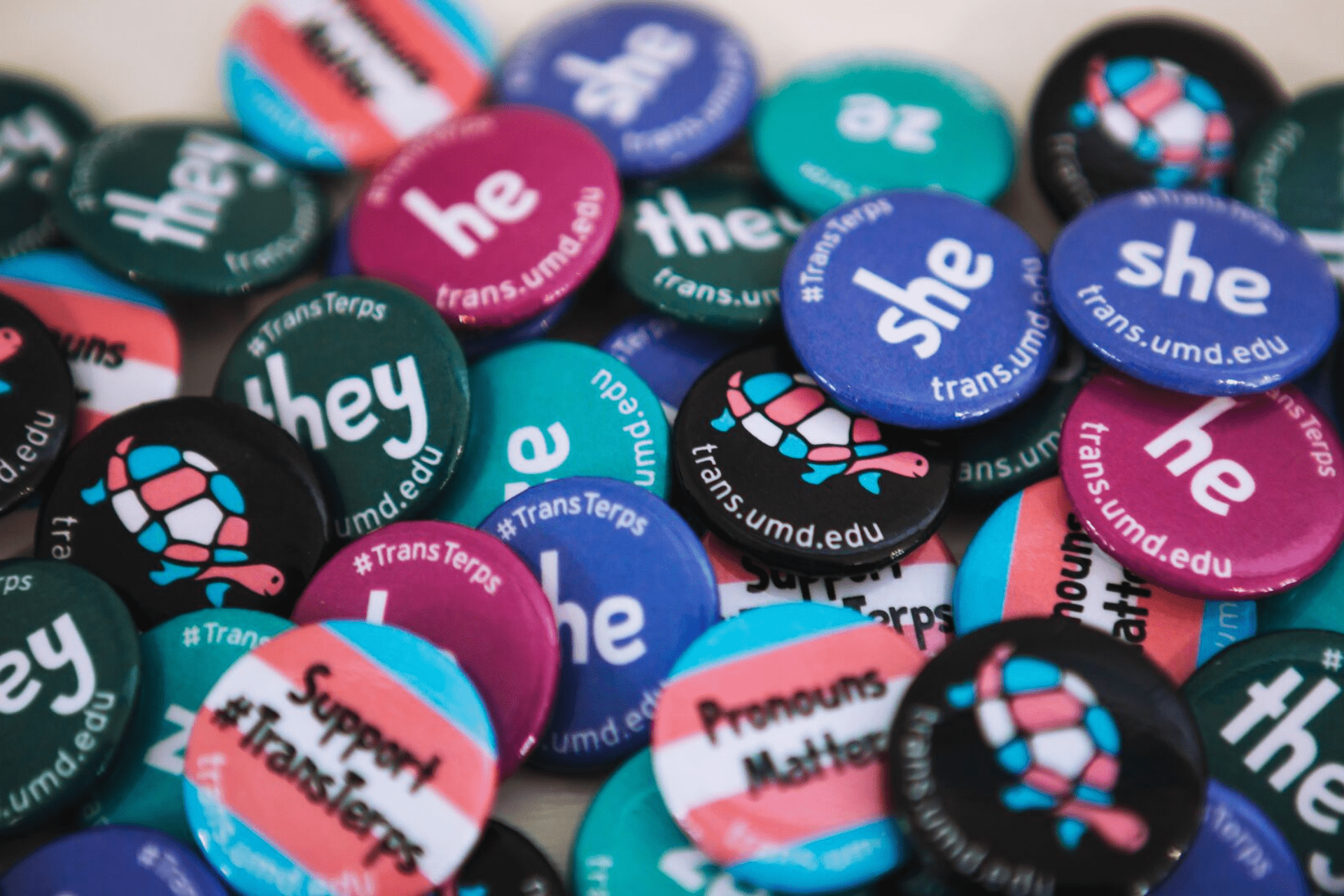 A pile of buttons in support of proper pronoun usage distributed by the Lesbian, Gay, Bisexual, and Transgender Equity Center