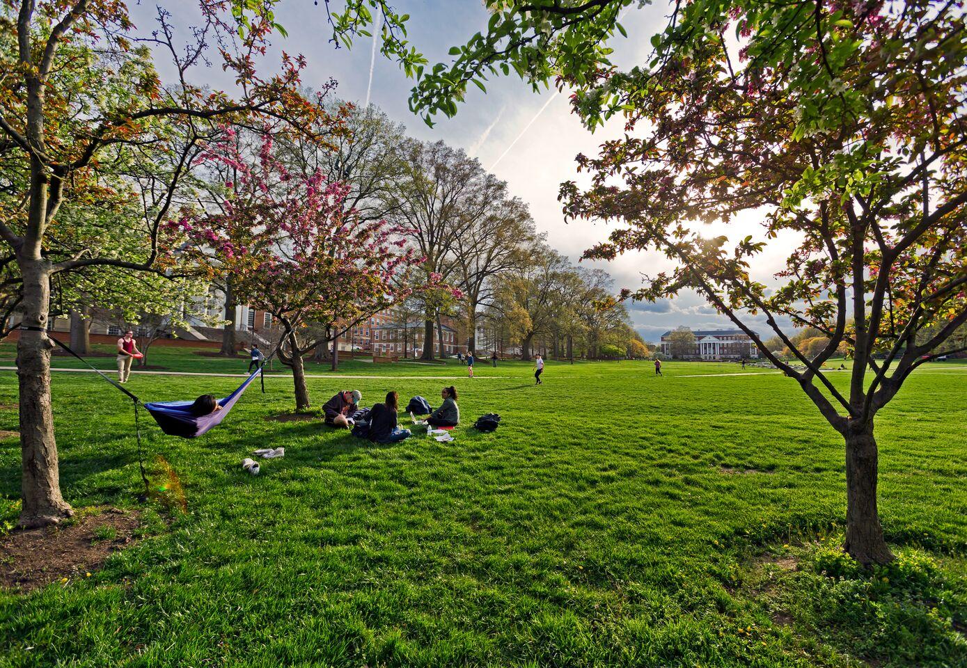 students on McKeldin mall on a sunny afternoon