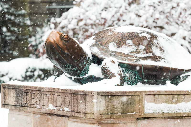 snow covered Testudo statue