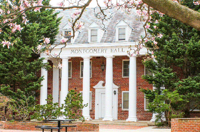 Exterior of Montgomery Hall, a brick building with white pillars framed by flowering pink trees.