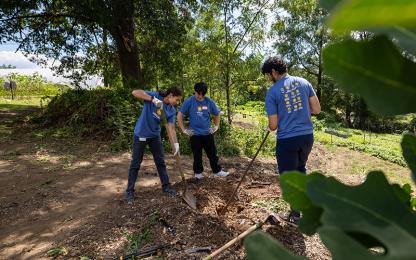 Three students in blue t-shirts working with shovels at an outdoor community garden.